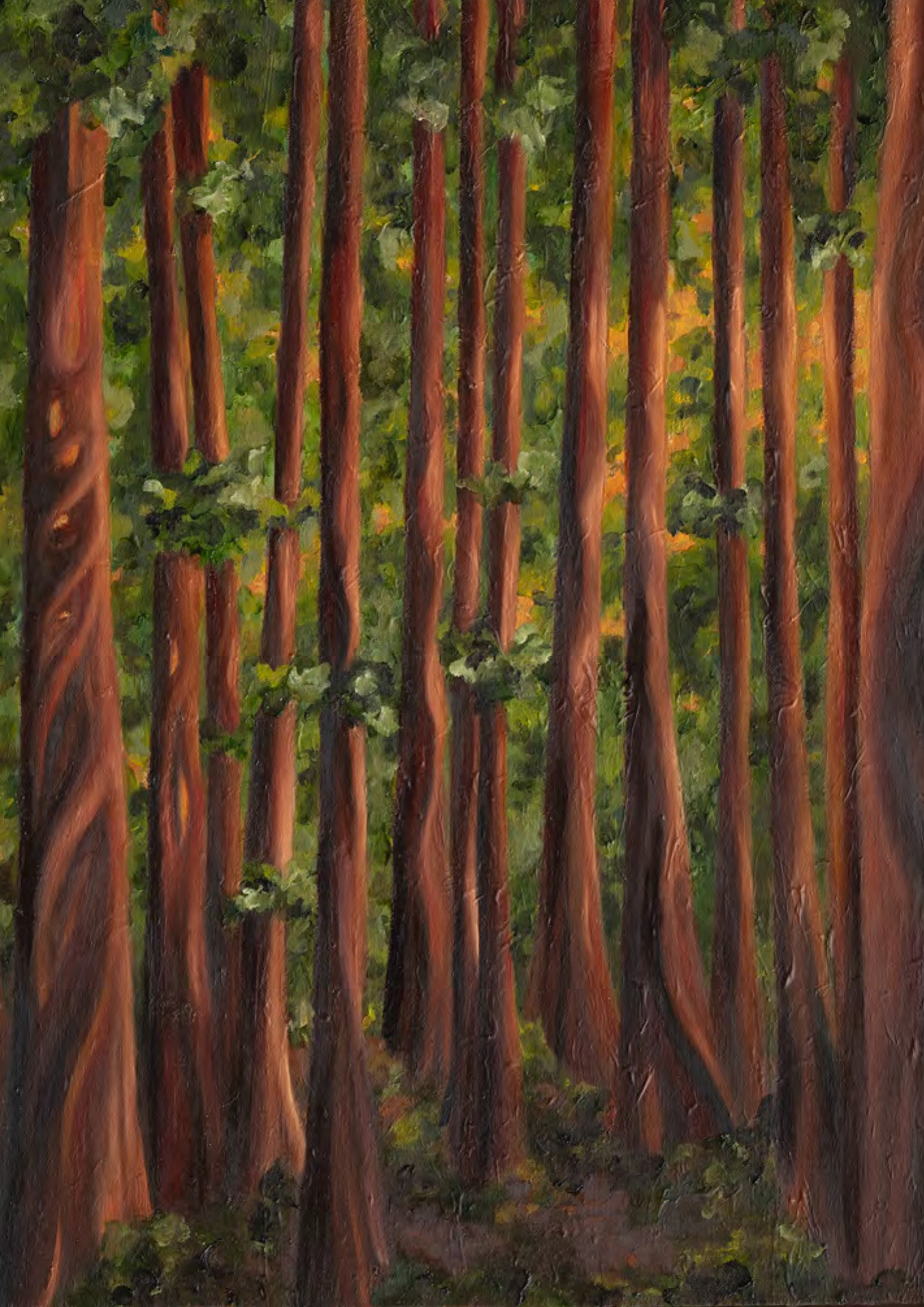 Cedar Grove (Naomi) Art Card