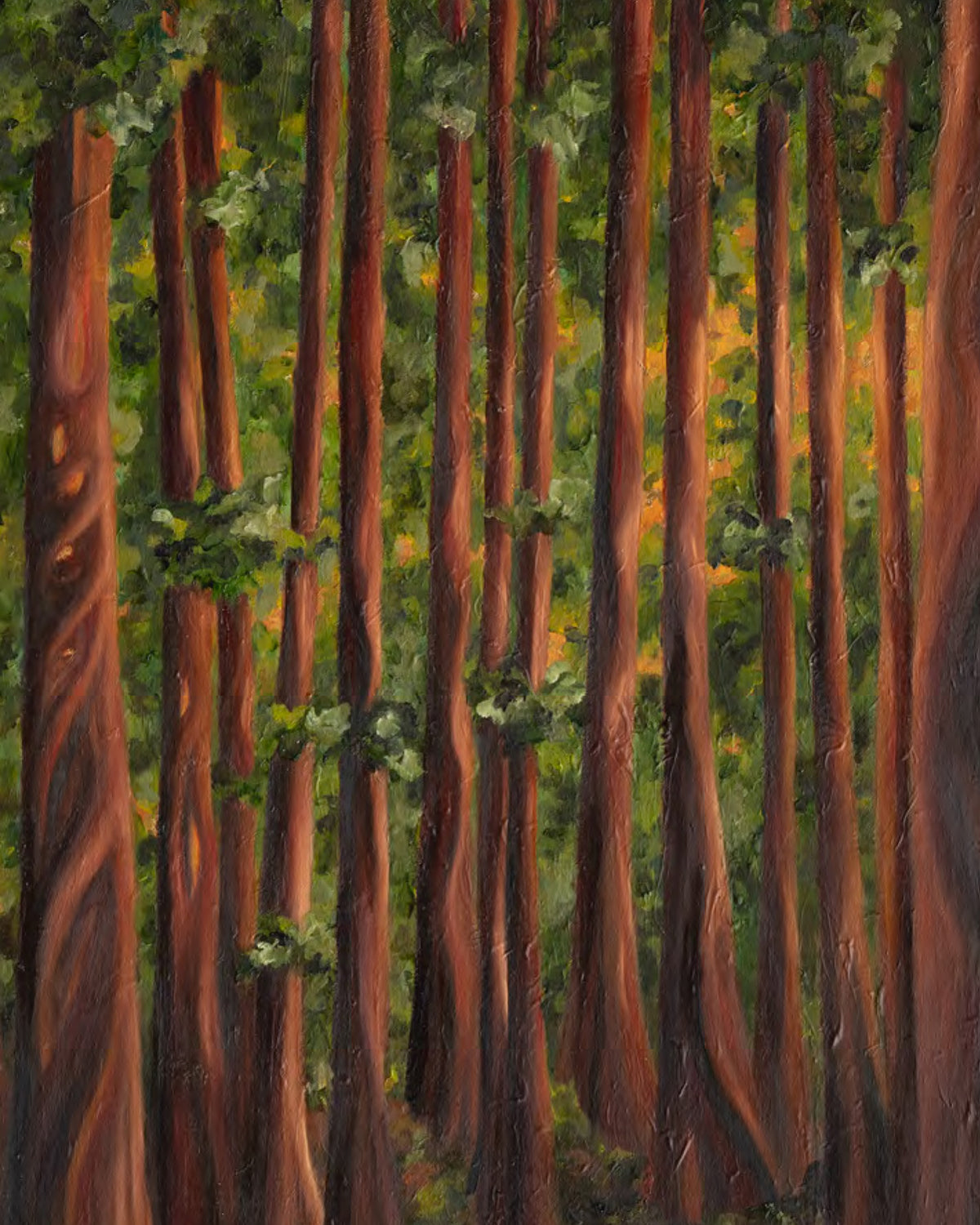Cedar Grove Digital Print - 8x10