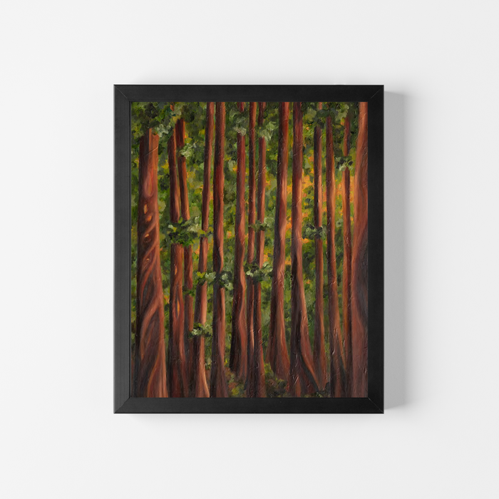 A framed vertical art print depicting a dense forest of tall redwood trees with warm brown trunks and green foliage, mounted on a clean white wall.